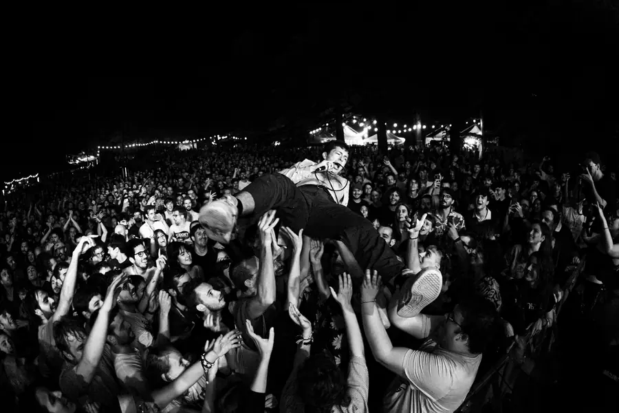 Poplar 24-23 - foto 12 (Live)