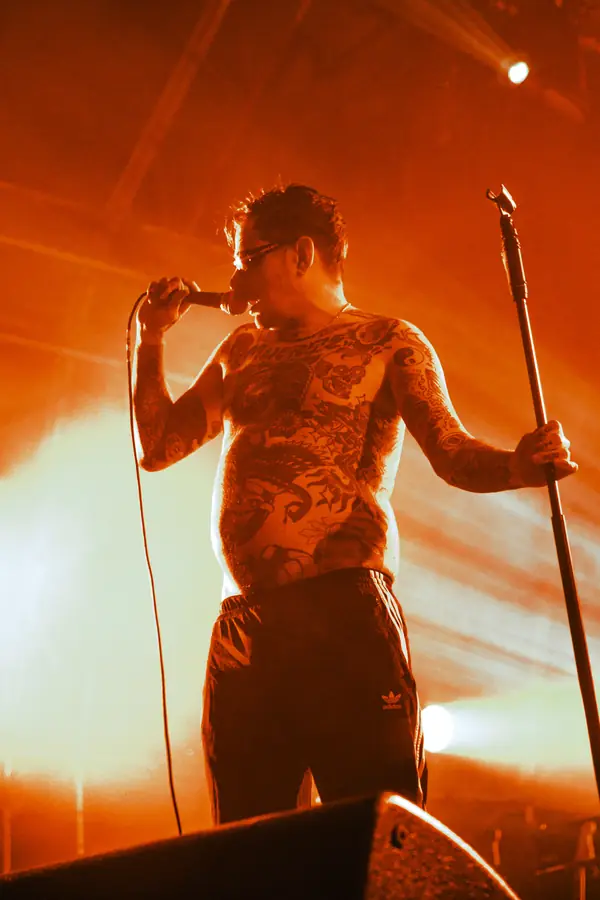 Poplar 24-23 - foto 19 (Live)