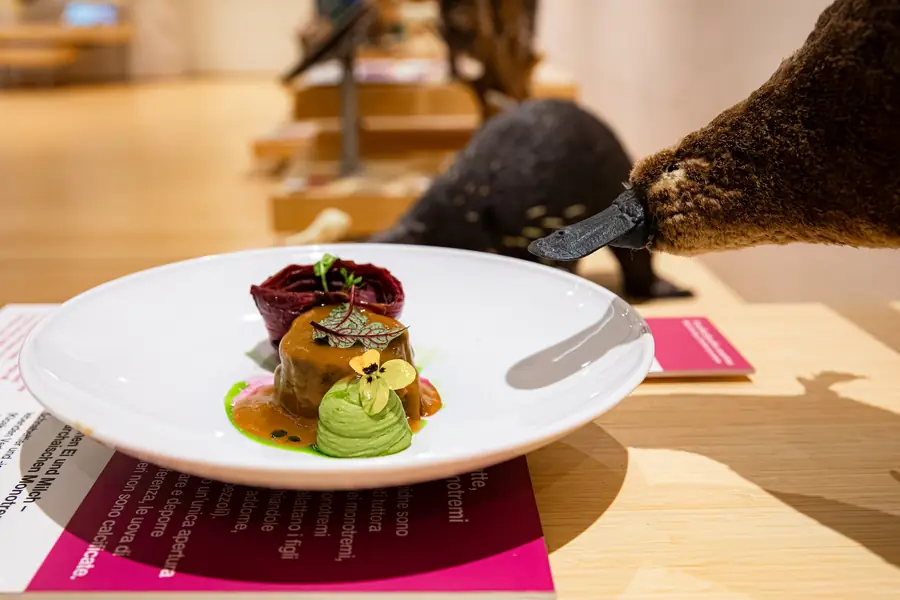 Trentino Catering - foto 18 (Commerciale)